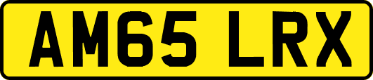 AM65LRX