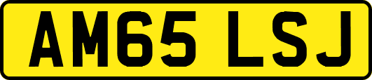 AM65LSJ