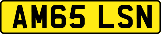 AM65LSN