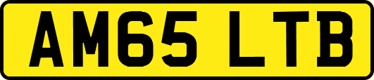 AM65LTB