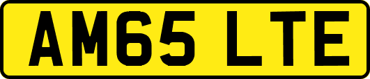 AM65LTE
