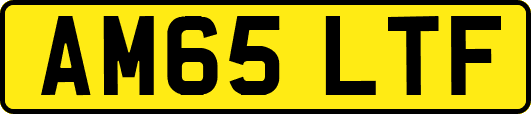 AM65LTF