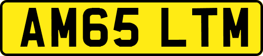 AM65LTM