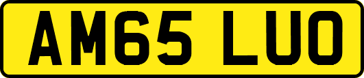 AM65LUO