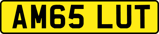 AM65LUT