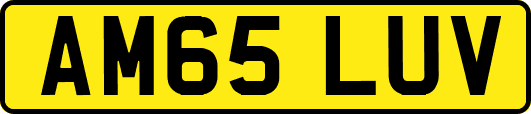 AM65LUV