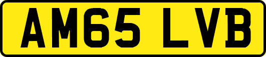 AM65LVB