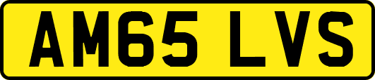 AM65LVS