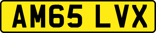 AM65LVX