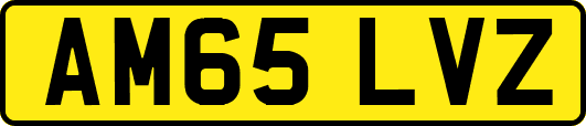 AM65LVZ