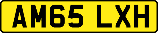 AM65LXH