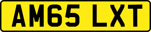 AM65LXT