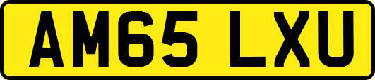 AM65LXU