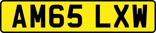 AM65LXW