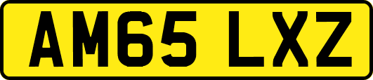 AM65LXZ