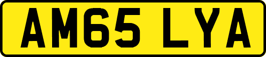 AM65LYA