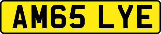 AM65LYE