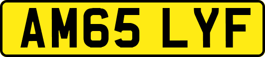 AM65LYF