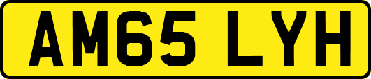AM65LYH