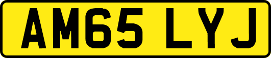 AM65LYJ