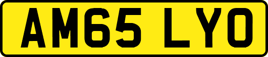 AM65LYO