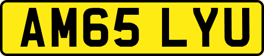 AM65LYU