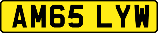 AM65LYW
