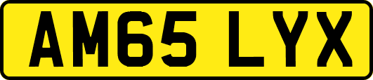 AM65LYX