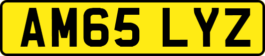 AM65LYZ
