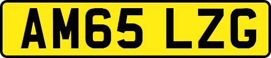 AM65LZG