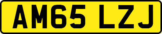 AM65LZJ