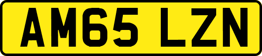 AM65LZN