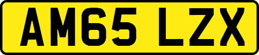 AM65LZX