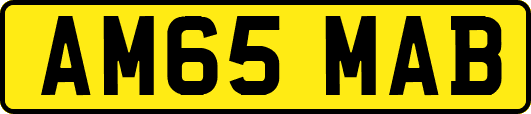 AM65MAB