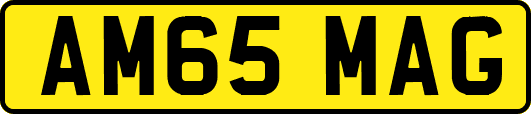 AM65MAG
