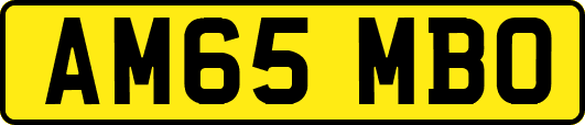 AM65MBO