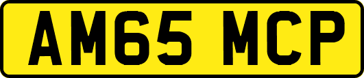 AM65MCP