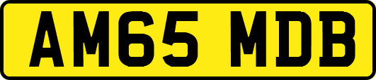 AM65MDB