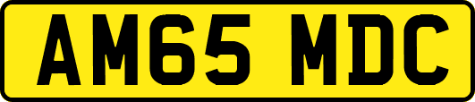 AM65MDC