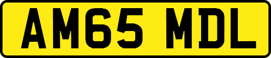 AM65MDL