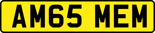 AM65MEM