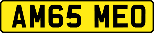 AM65MEO