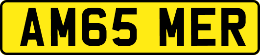 AM65MER