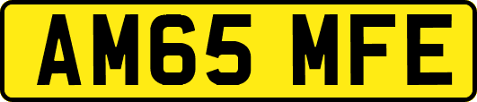 AM65MFE
