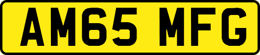 AM65MFG