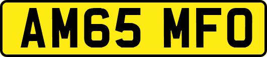 AM65MFO
