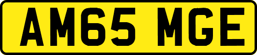 AM65MGE