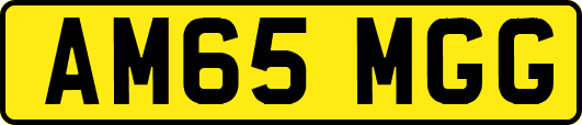AM65MGG