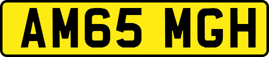 AM65MGH