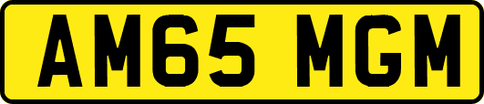 AM65MGM